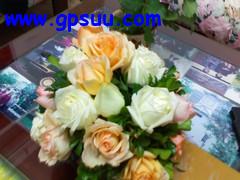 ֡Ļ?˶P550·ʵս 